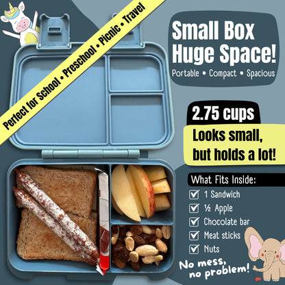 Lunch box with compartments, lightweight & leakproof – Tractor